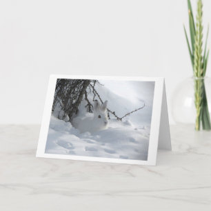 VITHARE I SNÖ HELGKORT