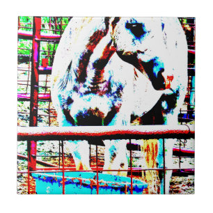 Vithäst Kakelplatta