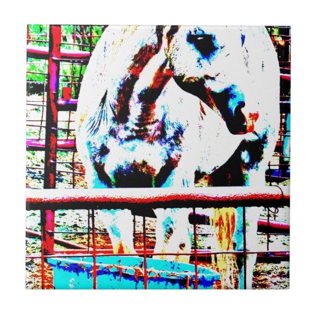 Vithäst Kakelplatta (Framsidan)