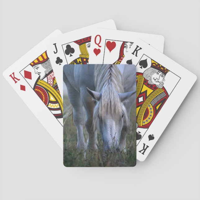 Vithäst Spel Kort (Baksidan)