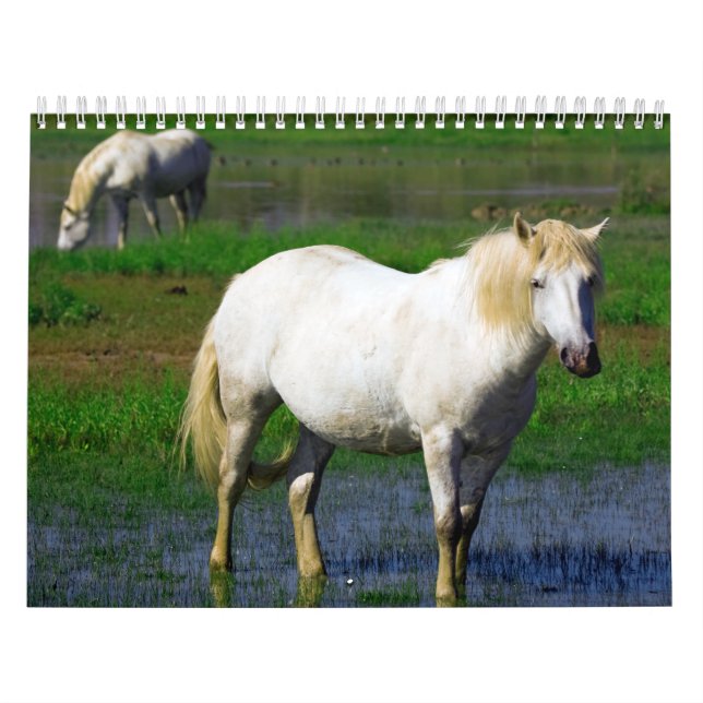 VITHÄSTAR KALENDER (Omslag)