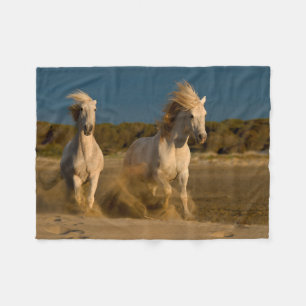 Vithästar som är rinnande på strand Camargue, Fleecefilt