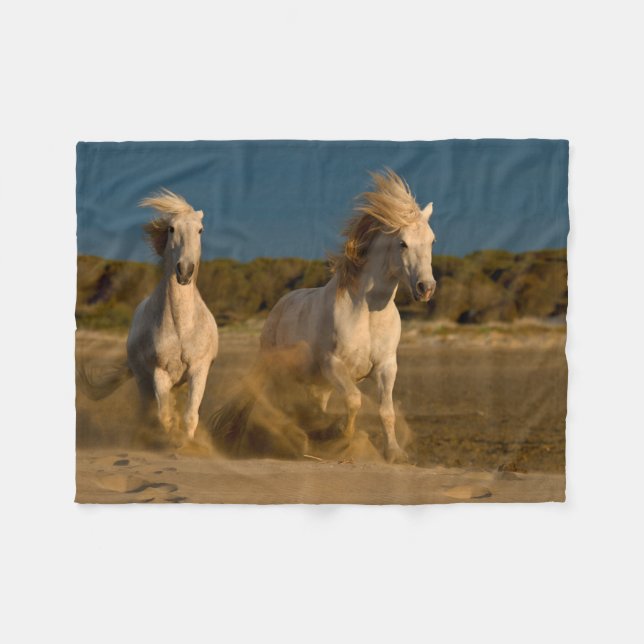 Vithästar som är rinnande på strand | Camargue, Fleecefilt (Framsidan (Horisontell))