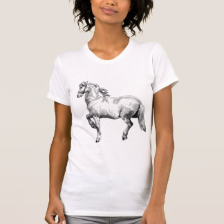 Vithästutslagsplats Tee