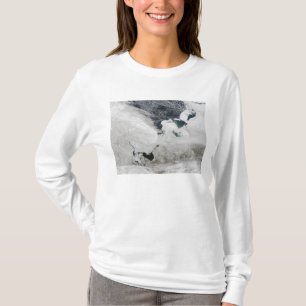 Vithav, Ryssland Tee Shirt