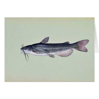 Vithavskatt Hälsningskort