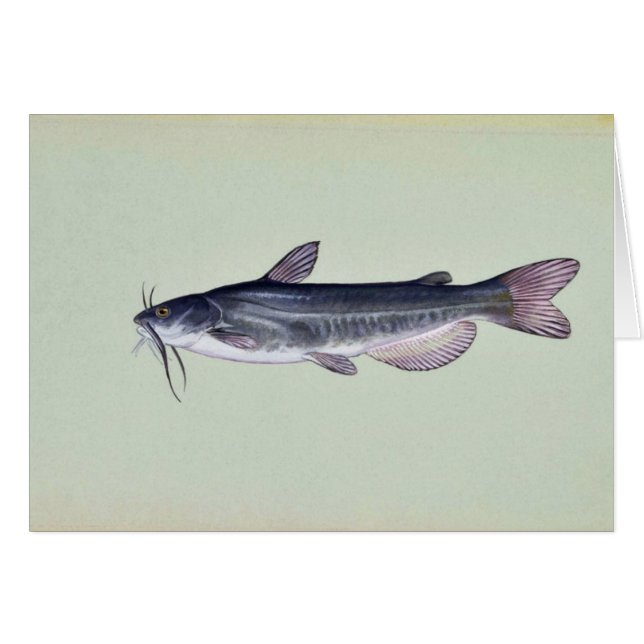 Vithavskatt Hälsningskort (Framsidan Horizontal)