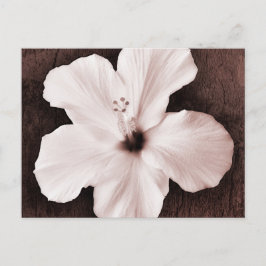 VitHawaiian Hibiscus Sepia Tropical Flower Vykort