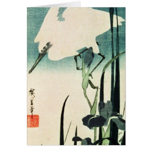 VitHeron och Iris Hälsningskort (Framsidan)