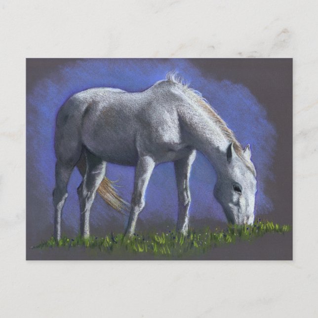 VITHORSE: REALISM FÄRG PENCIL VYKORT (Framsida)