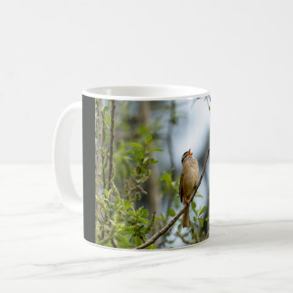Vithuvad sparv – Fågelkonstfotografi Kaffemugg