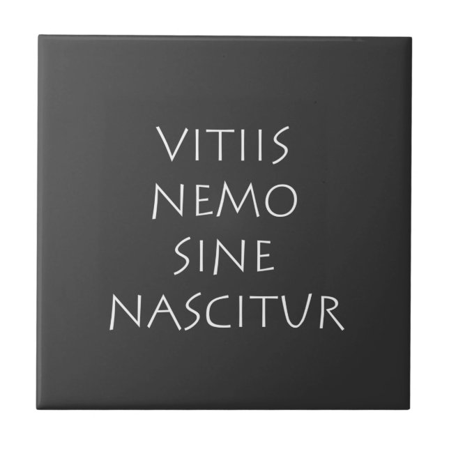 Vitiis nemo sine nascitur kakelplatta (Framsidan)