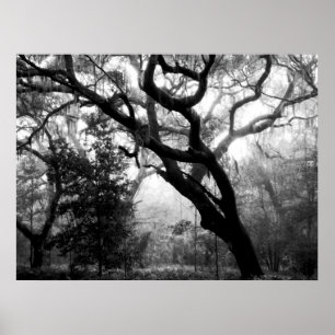 Vitisperande oaks poster