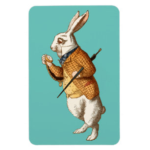 Vitkanin (Alice's Äventyr i Wonderland) Magnet
