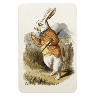 Vitkanin från Alice i underlandvintagekonst Magnet