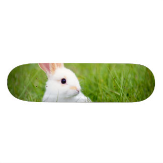 Vitkanin Skateboard Bräda 21,5 Cm
