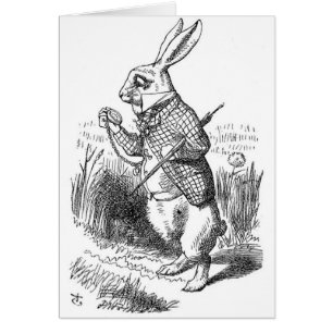 Vitkaninen med klockan OBS kort