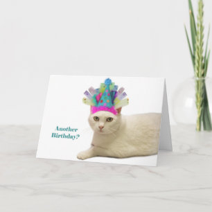 Vitkatt Birthday Kort