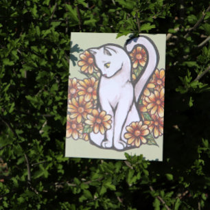 Vitkatt Daisy Blommor Vykort