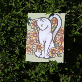 Vitkatt Daisy Blommor Vykort