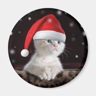 Vitkatt i Jultomten Hat Magnet