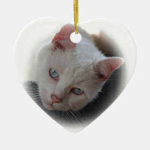 Vitkatt Julgransprydnad Keramik