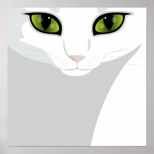 Vitkatt med juvelgröntögon poster