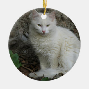 Vitkatt Ornament