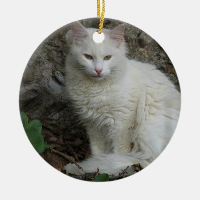 Vitkatt Ornament (Framsidan)