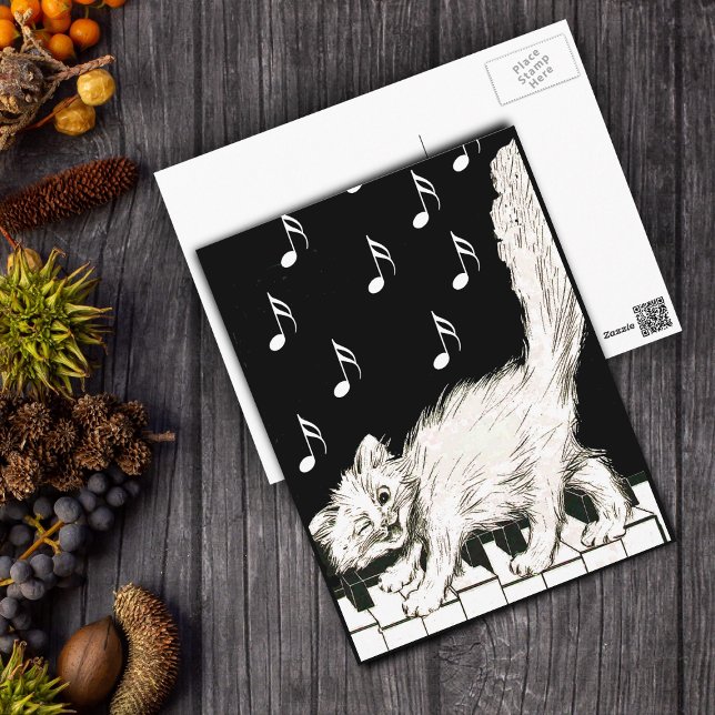 Vitkatt på Piano Nycklar Vykort (White winking cat walking on piano keys music notes on black and white post card.)