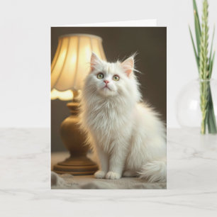 Vitkatt Sitta i varm lampa Kort
