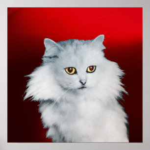 VITKATTER, Röda ruby Poster