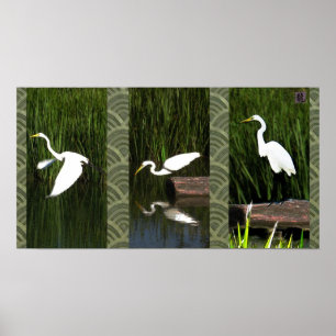 Vitkran (Egret) Poster