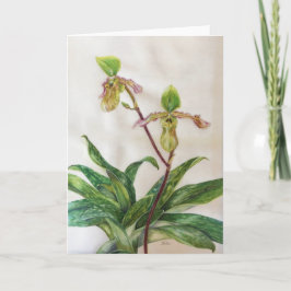 Vitkuvert för Orchids (5" x 7") inkluderar Kort