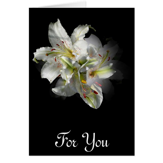 Vitliljafantasi Hälsningskort (Framsidan)