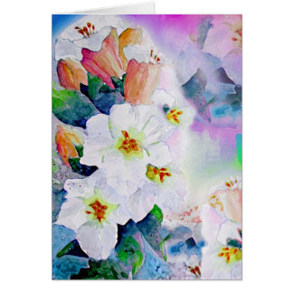 Vitliljar Hälsningskort