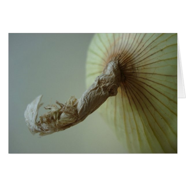 Vitlök Hälsningskort (Framsidan Horizontal)