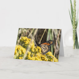 Vitlök och Kale Kort