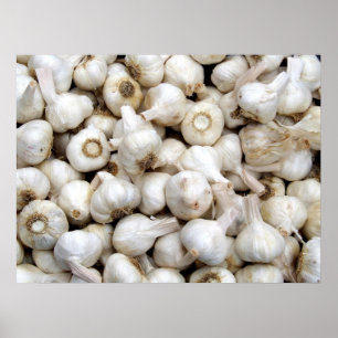 Vitlök Poster