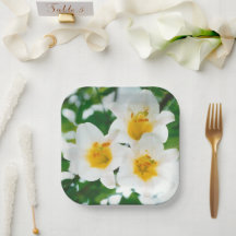 Vitlök - Symbol för kärlek