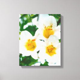 Vitlök - Symbol för kärlek Canvastryck