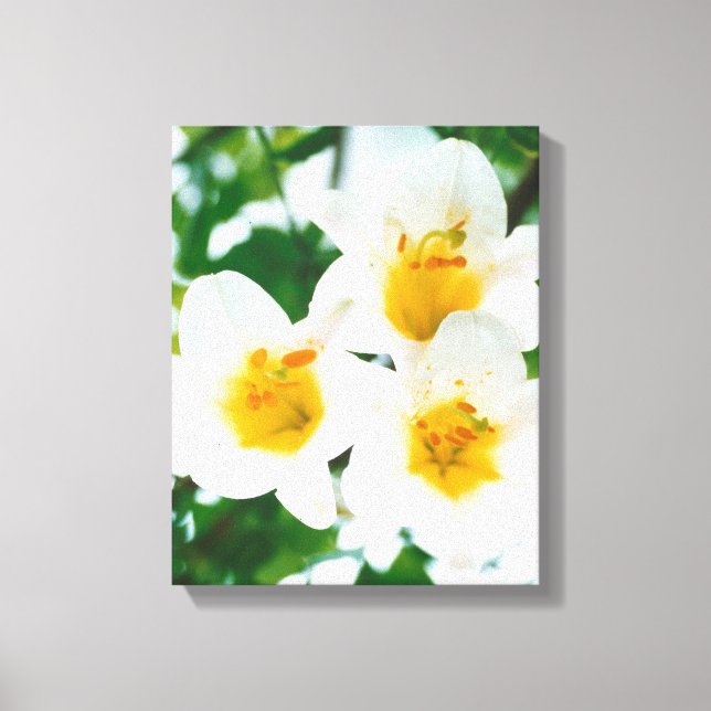 Vitlök - Symbol för kärlek Canvastryck (Framsida)