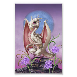 Vitlökskugga 4x6 Skriv ut Fototryck