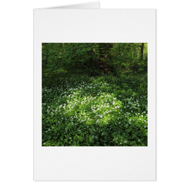 Vitlökssax Hälsningskort (Framsidan)