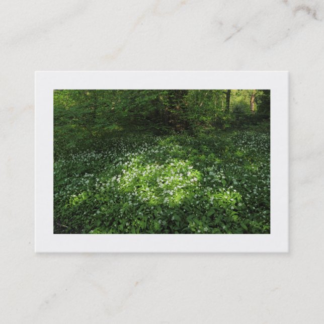 Vitlökssax (vid gränsen) visitkort (Framsida)