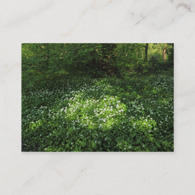 Vitlökssax Visitkort (Framsida)