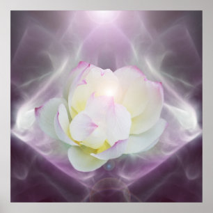 Vitlotusblommablomma i kristall poster