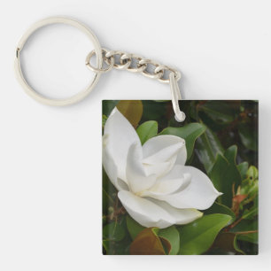 VitMagnolia