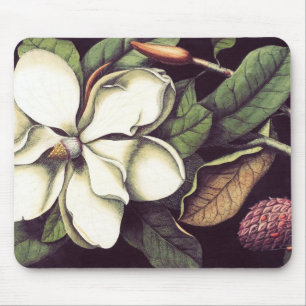 VitMagnolia Mousepad, kalla Mousepads Musmatta