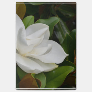 VitMagnolia Post-it Block